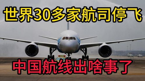 全球多航司停飞_突发！全球多航司停飞