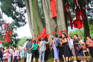 1万5千余名游客登上泰山祝福祖国_泰山之巅飘扬中国红祝福祖国繁荣昌盛