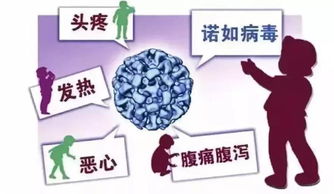 当地回应多名学生感染诺如病毒腹泻_“高校被传化粪池饮水设施接反”后续：部分学生囤纯净水，官方称有诺如病毒感染