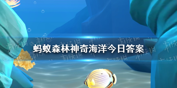 网1