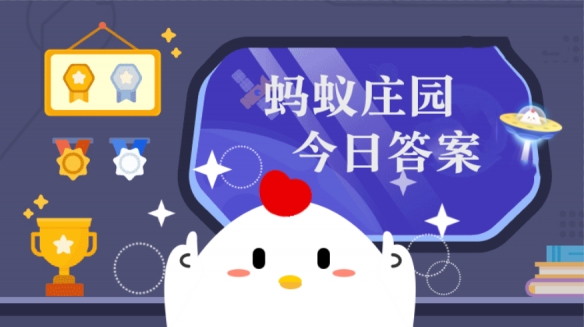 网1